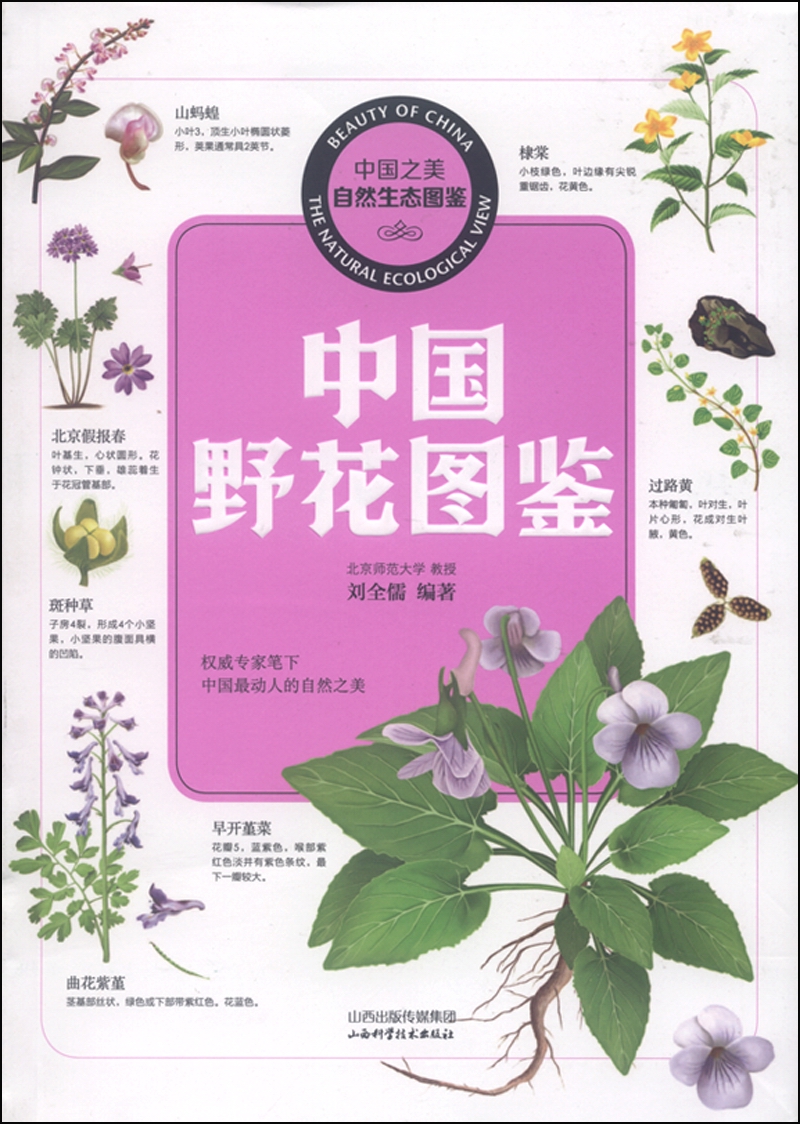 中国之美·自然生态图鉴 中国野花图鉴