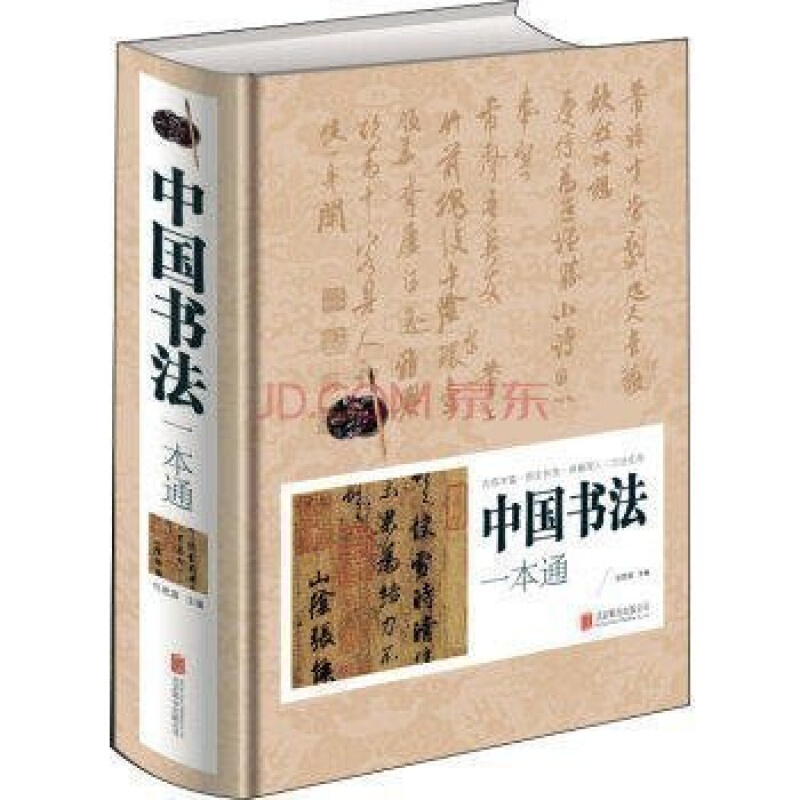 中国书法大全 中国传世书法技法一本通教程鉴赏导读 历代书法名品宝库书法文化大观分析