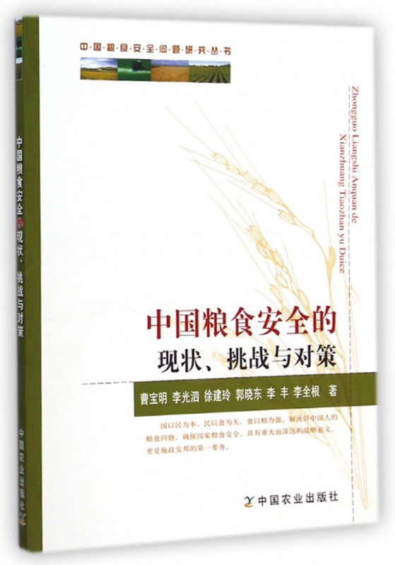 中国粮食安全的现状挑战与对策/中国粮食安全问题研究丛书