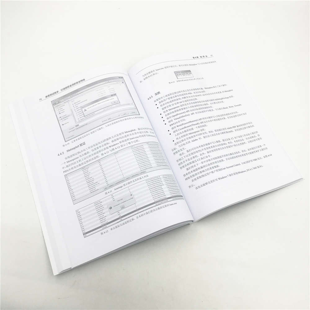 渗透测试高手 打造固若金汤的安全网络/安全技术经典译丛