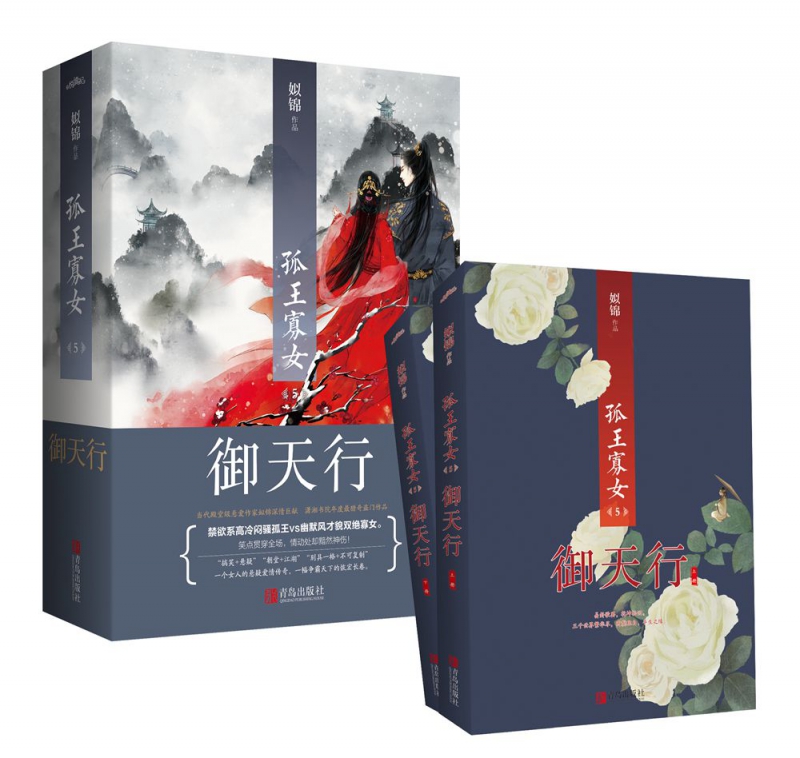 孤王寡女(5御天行上下)