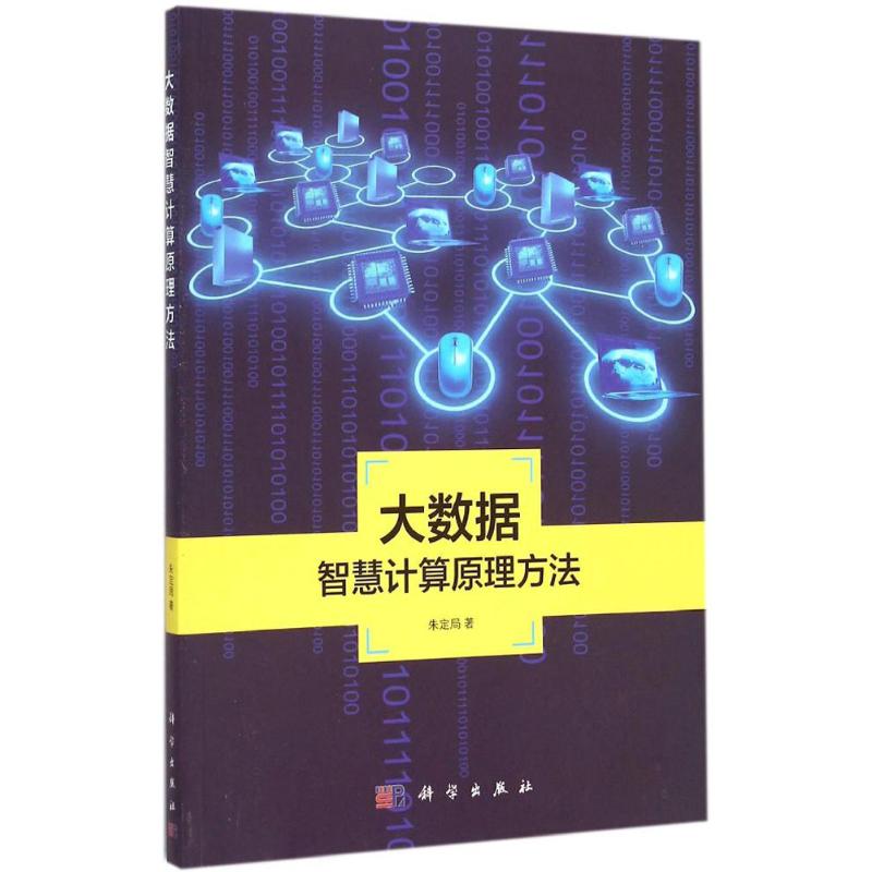 大数据智慧计算原理方法