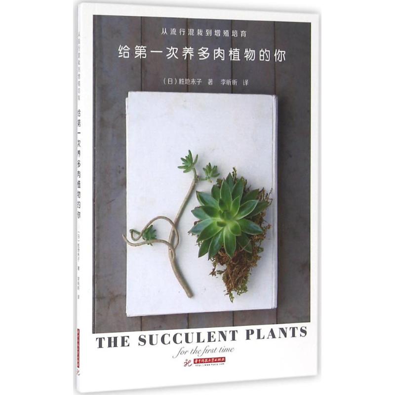 给第一次养多肉植物的你