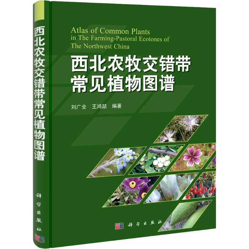 西北农牧交错带常见植物图谱