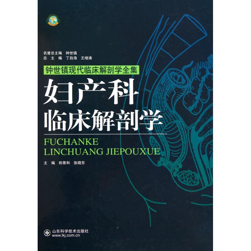 妇产科临床解剖学