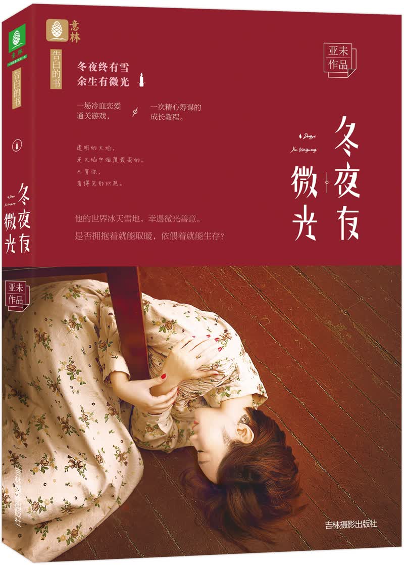 意林告白的书系列--冬夜有微光