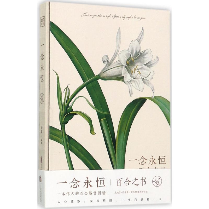 一念永恒