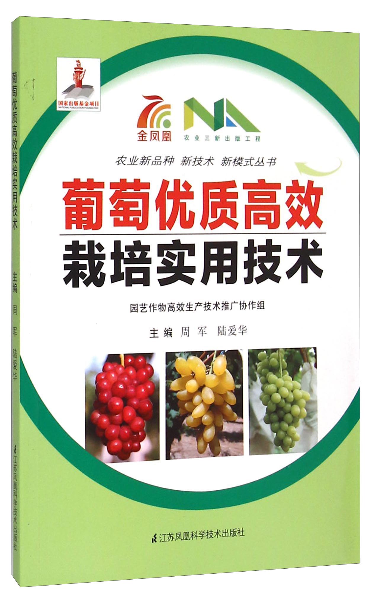 葡萄优质高效栽培实用技术