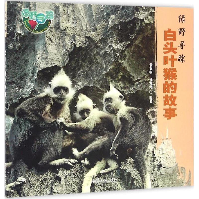 白头叶猴的故事