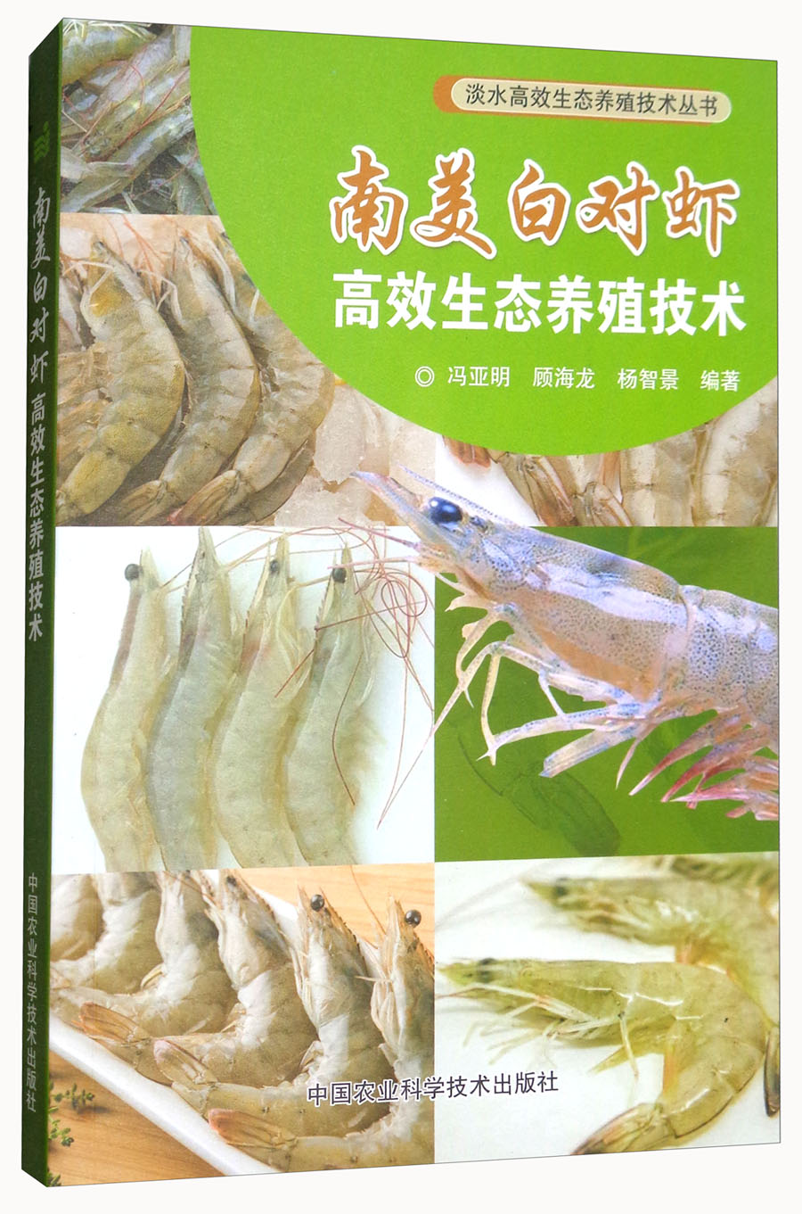 南美白对虾高效生态养殖技术