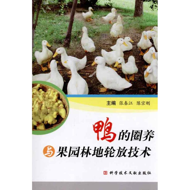 鸭的圈养与果园林地轮放技术