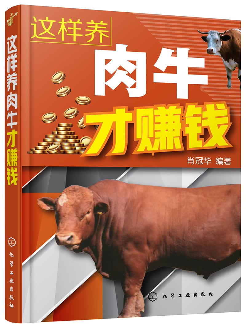 这样养肉牛才赚钱（实用）