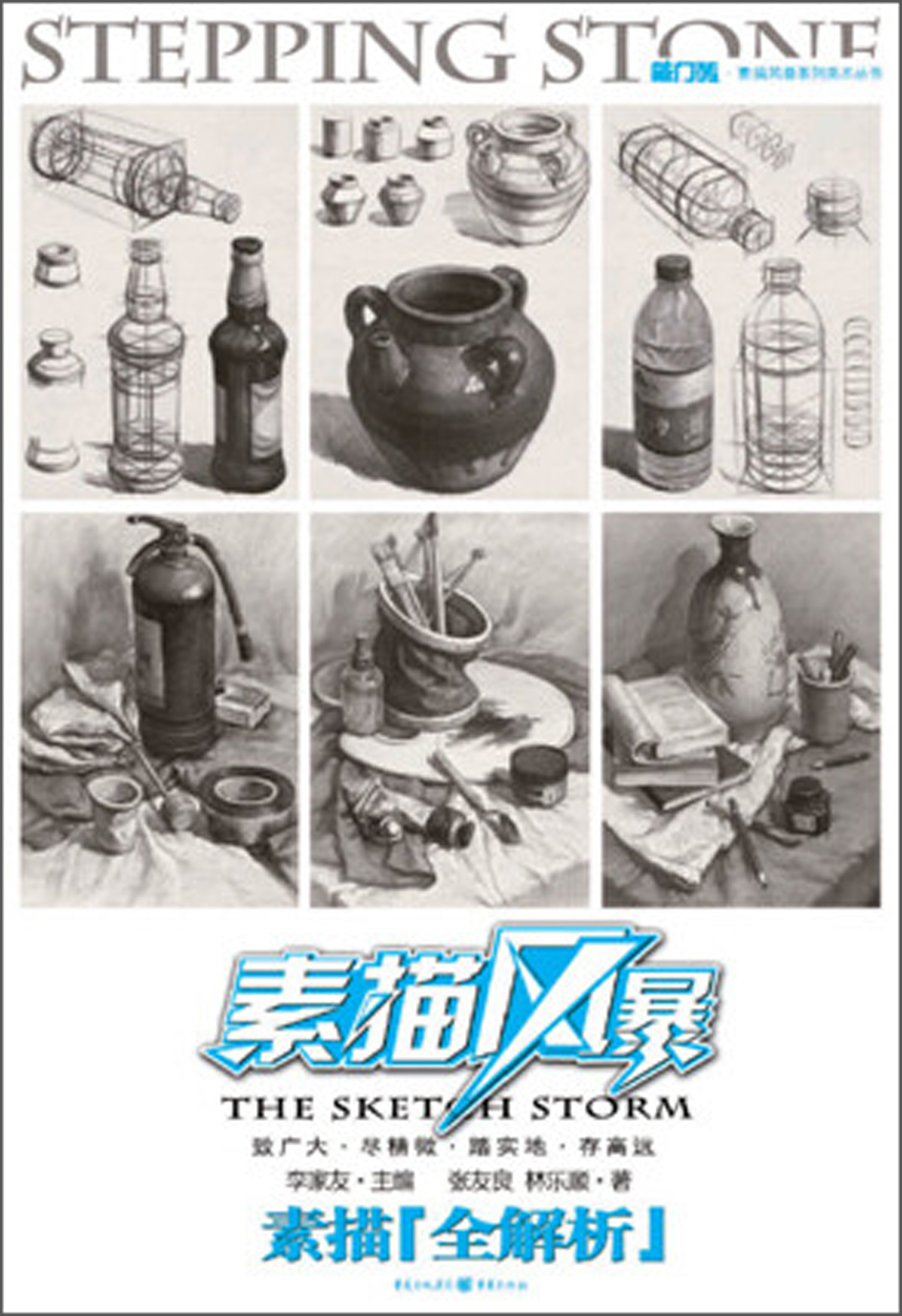 【正版】素描风暴:素描·全解析 张友良林乐顺 著  重庆出版社 (正版