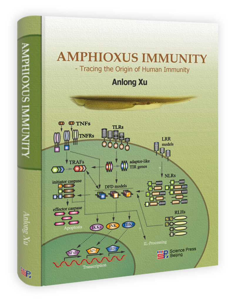 文昌鱼免疫系统theimmunesystemofamphioxus英文版
