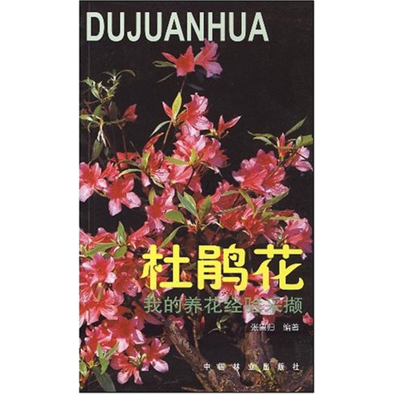 杜鹃花：我的养花经验采撷