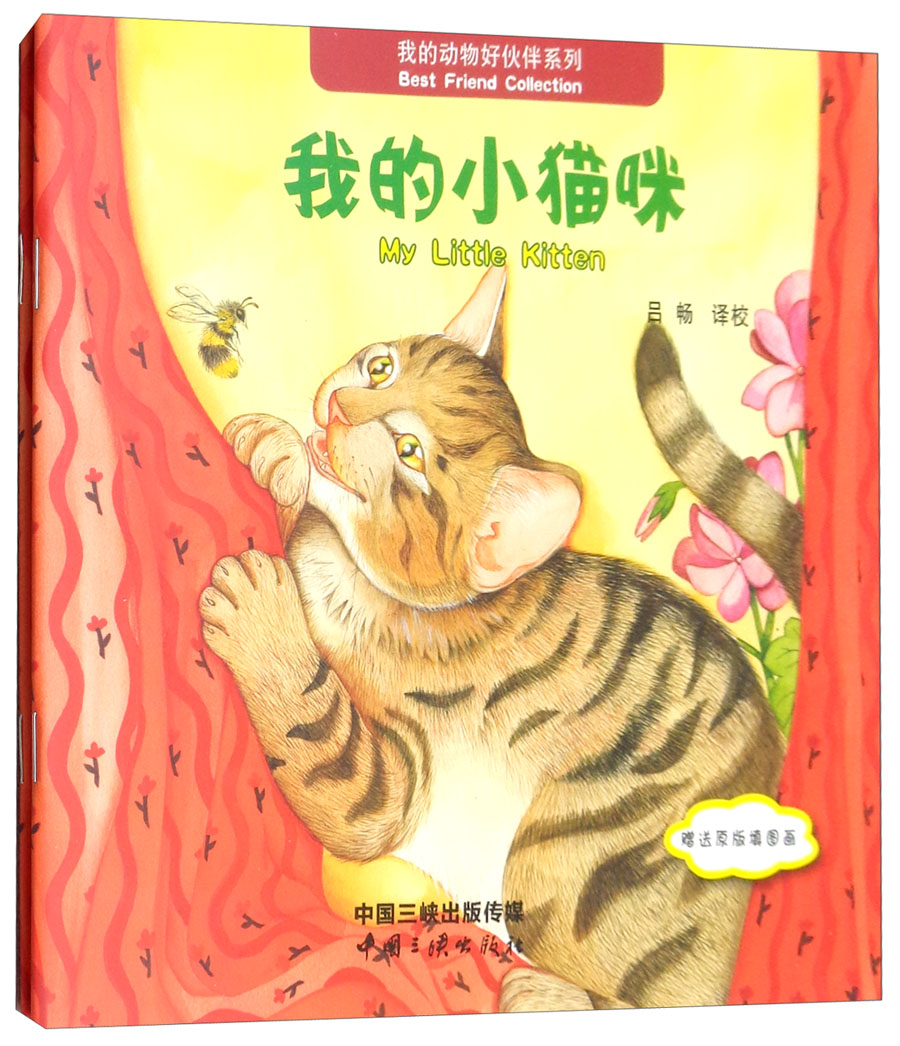 我的小猫咪（附原版填图画）
