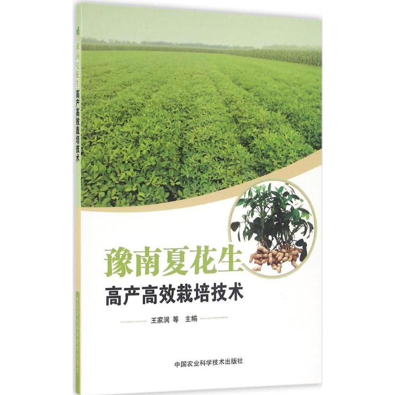 豫南夏花生高产高效栽培技术