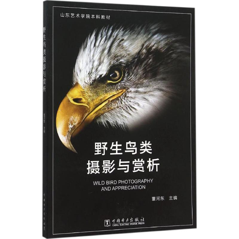 野生鸟类摄影与赏析