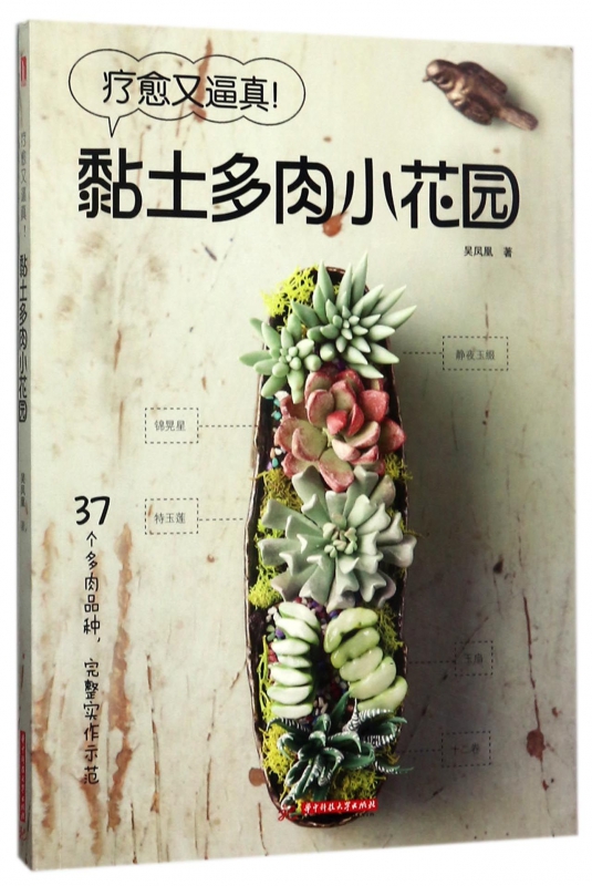 疗愈又逼真黏土多肉小花园