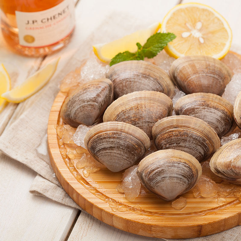 【鲜活】味库鲜活黄蚬子丹东500g鲜活吐沙新鲜活无沙蛤蜊海鲜 贝类