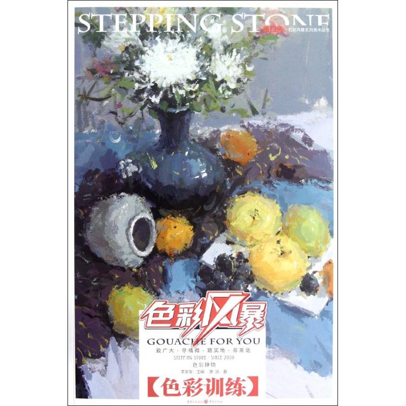 敲门砖.色彩风暴:色彩静物.色彩训练