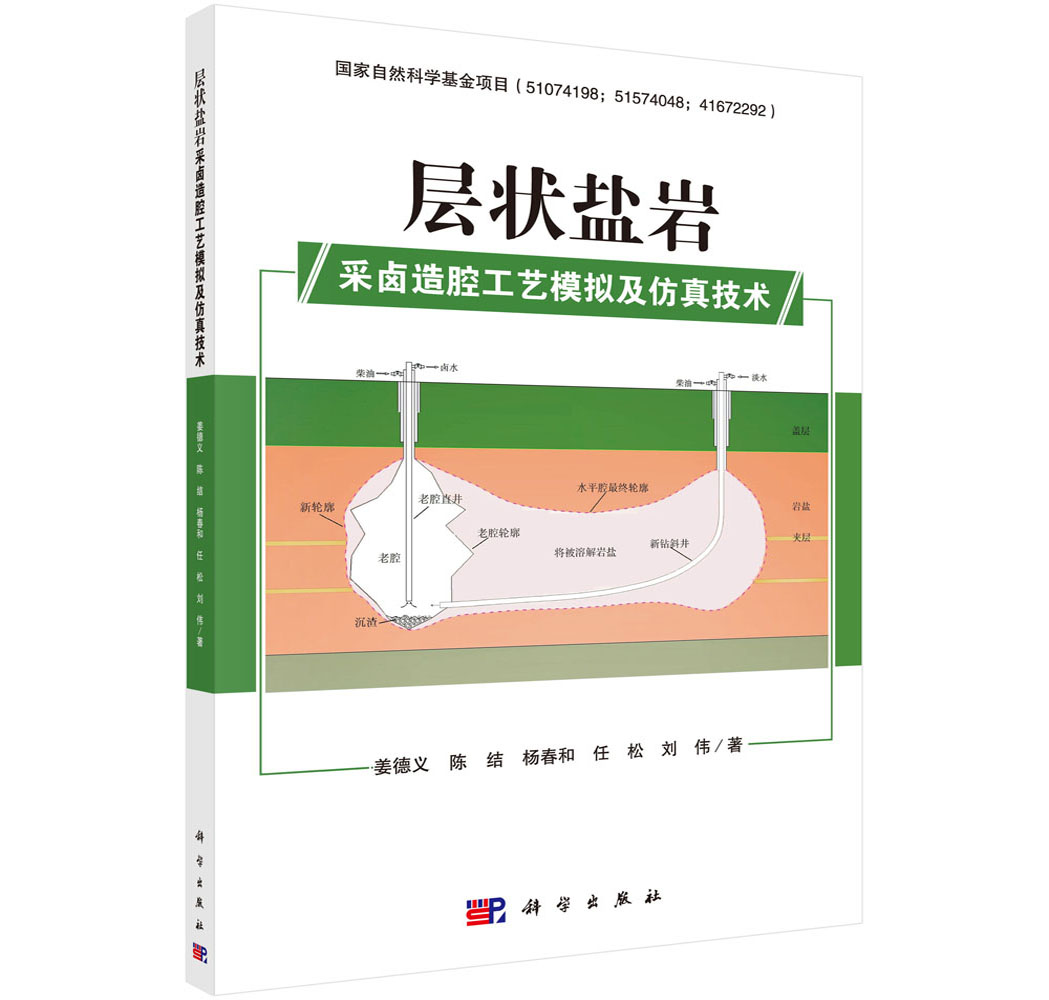 层状盐岩采卤造腔工艺模拟及仿真技术