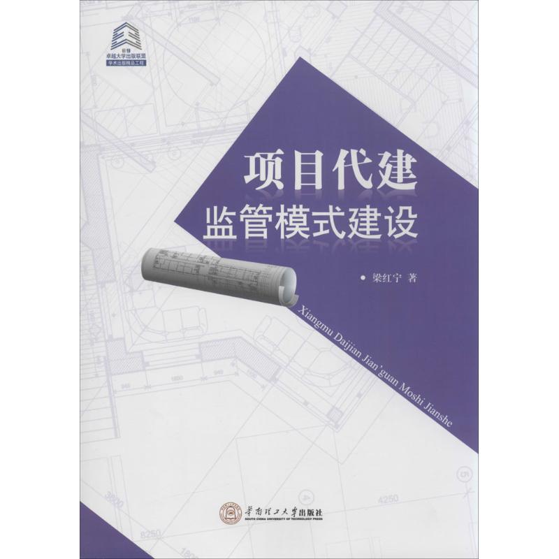 项目代建监管模式建设