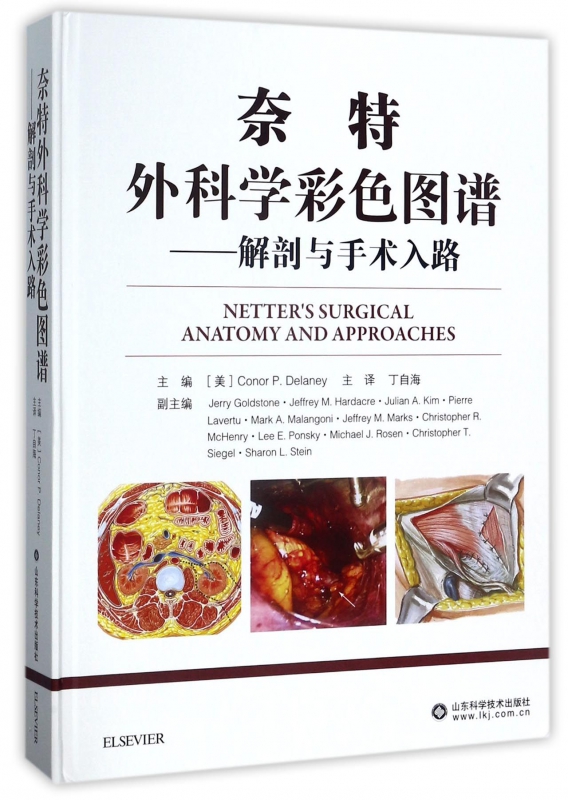 奈特外科学彩色图谱--解剖与手术入路(精)