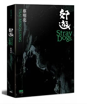 现货 郊游 台版原版 蔡明亮 印刻文学生活杂志出版 电影概念书 多面向梦境的蔓延与透视