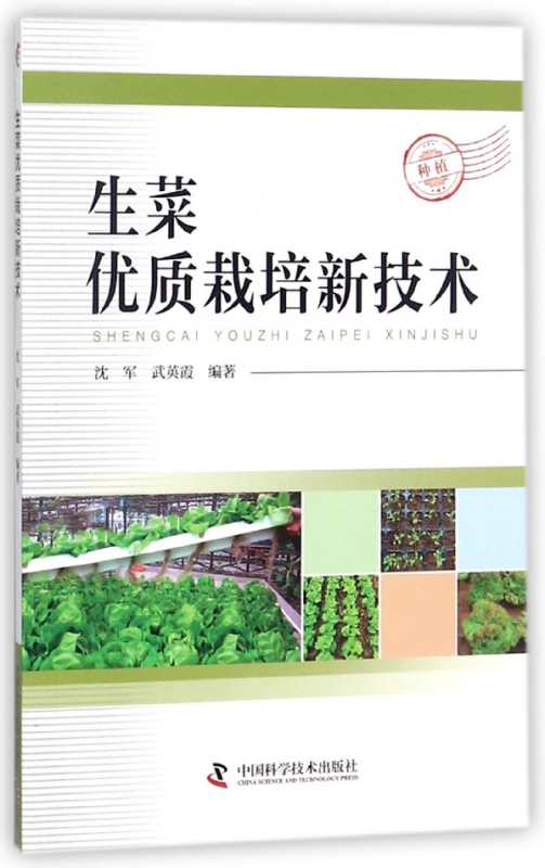生菜优质栽培新技术