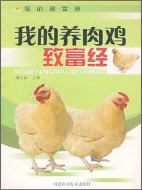 致富经养蛋鸡(致富经养鸡视频)