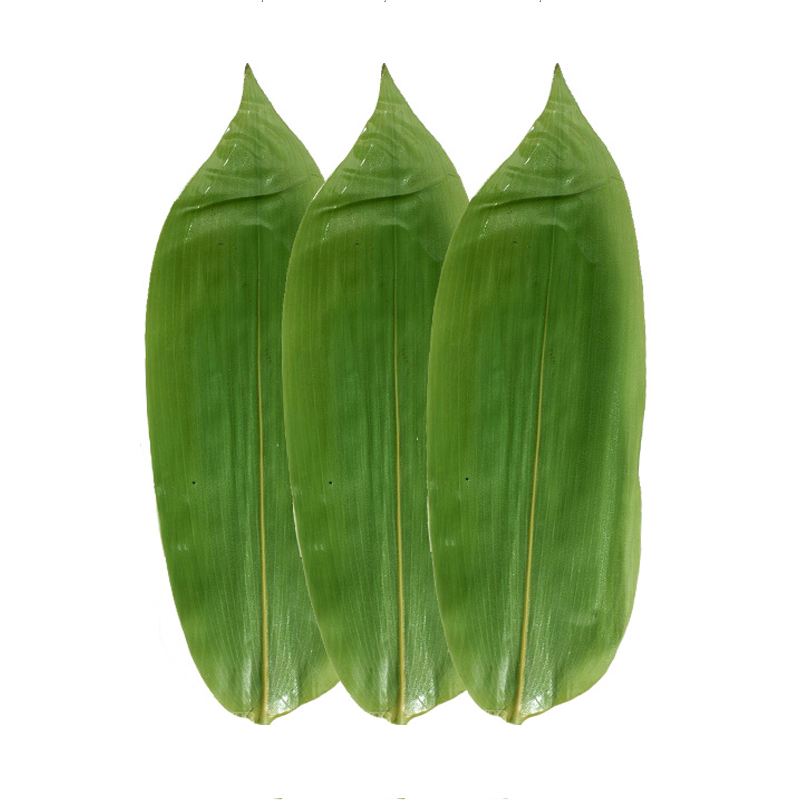 新鲜粽叶 大粽子叶 箬竹叶 真空保鲜包装  棉线一挂 粽叶100片 3斤圆
