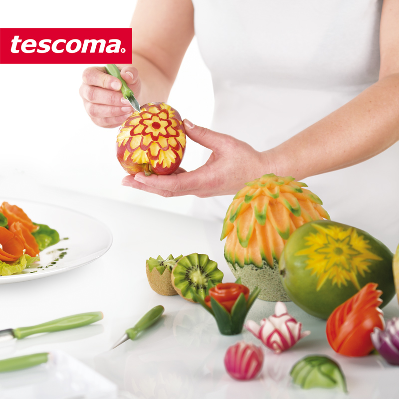 tescoma 捷克进口创意厨房小工具 水果拼盘雕花刀 厨房烹饪雕刻刀具套装
