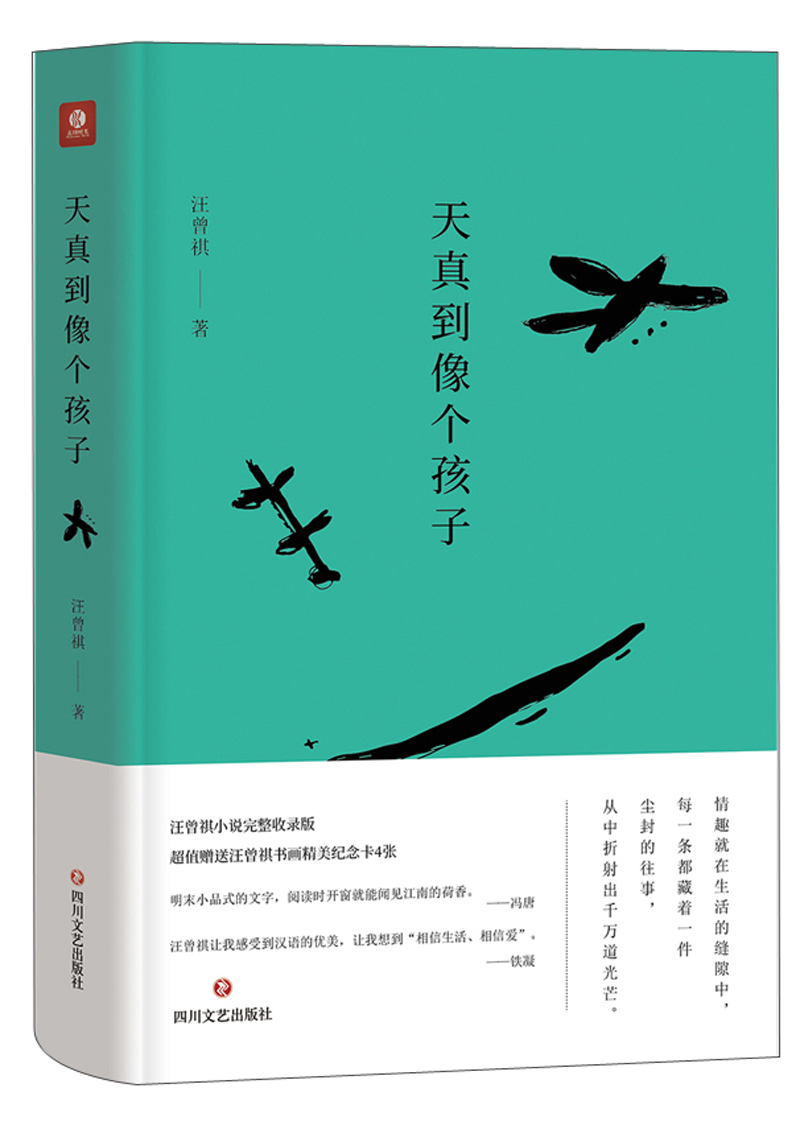 【正版新书】天真到像个孩子 天真到像个孩子