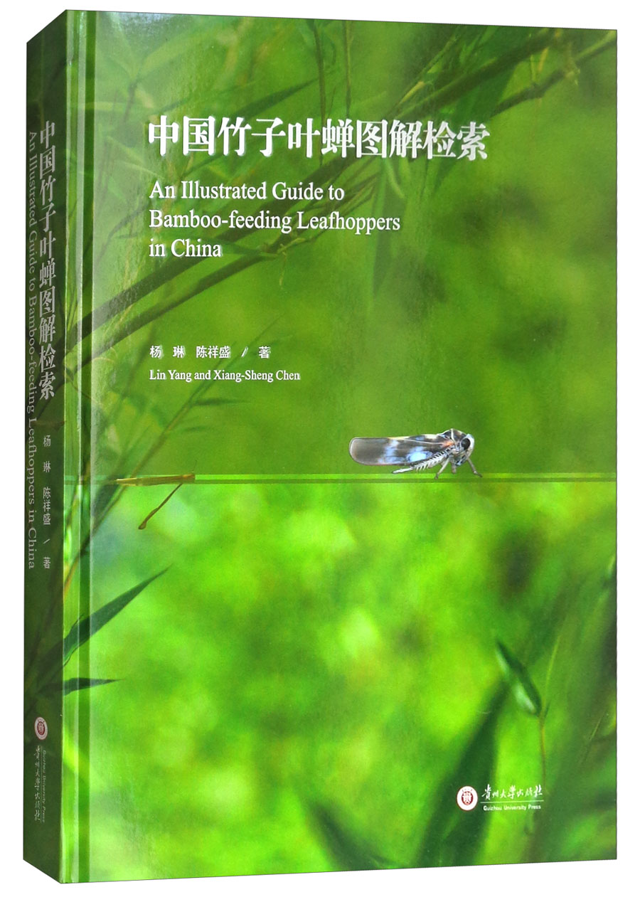 中国竹子叶蝉图解检索