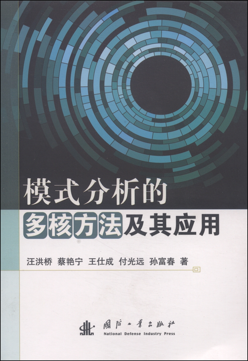 模式分析的多核方法及其应用