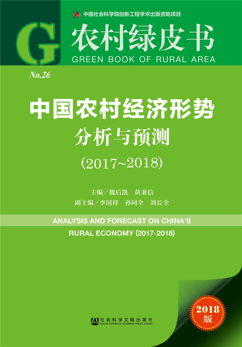中国农村经济形势分析与预测（2017~2018）
