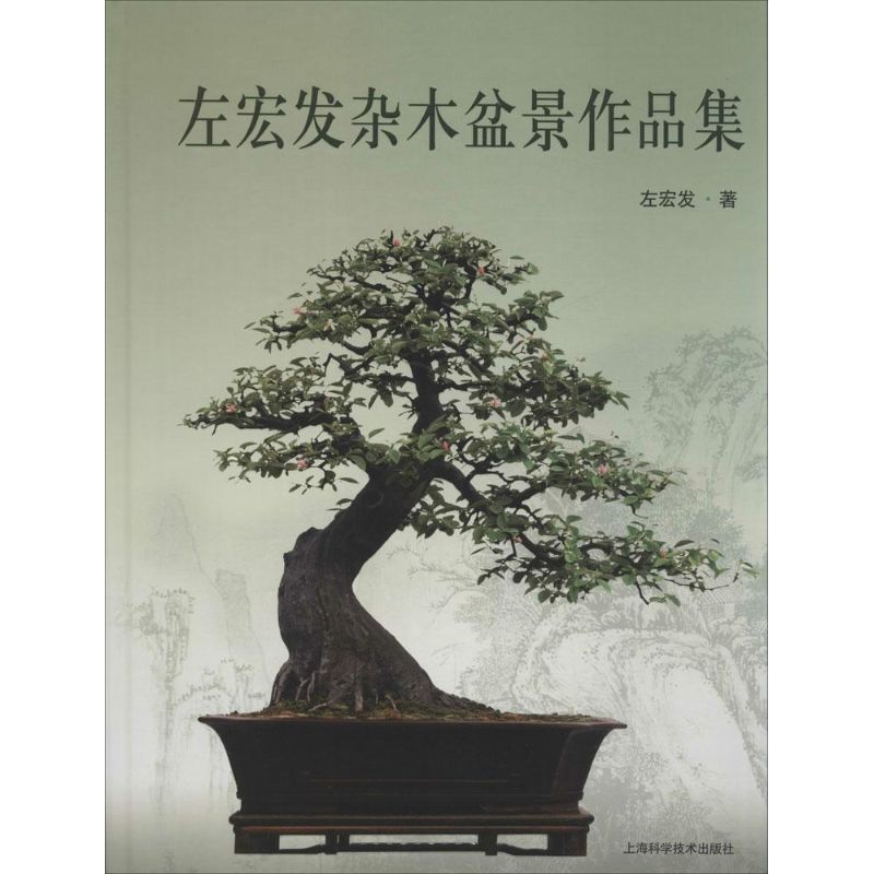 左宏发杂木盆景作品集