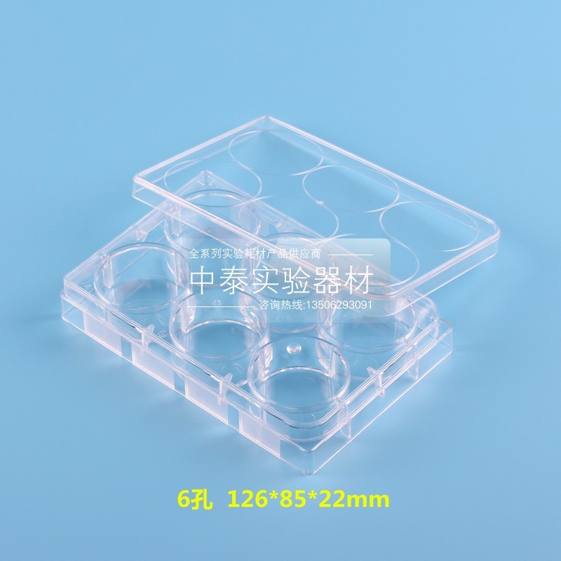 苏品 6孔12孔24孔48孔96孔384孔细胞 培养板 一次性细菌培养板 6孔(tc