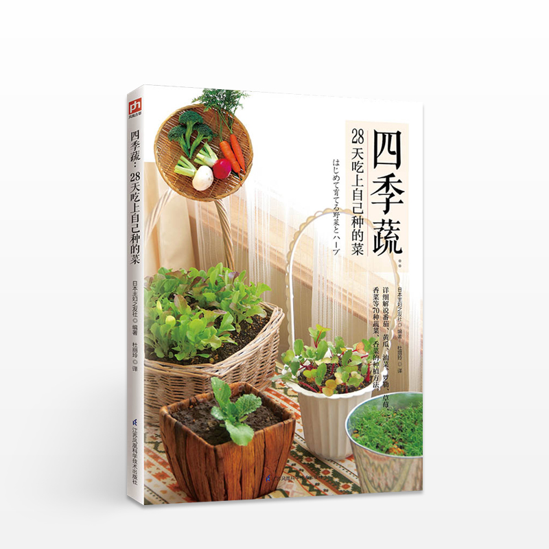四季蔬 28天吃上自己种的菜
