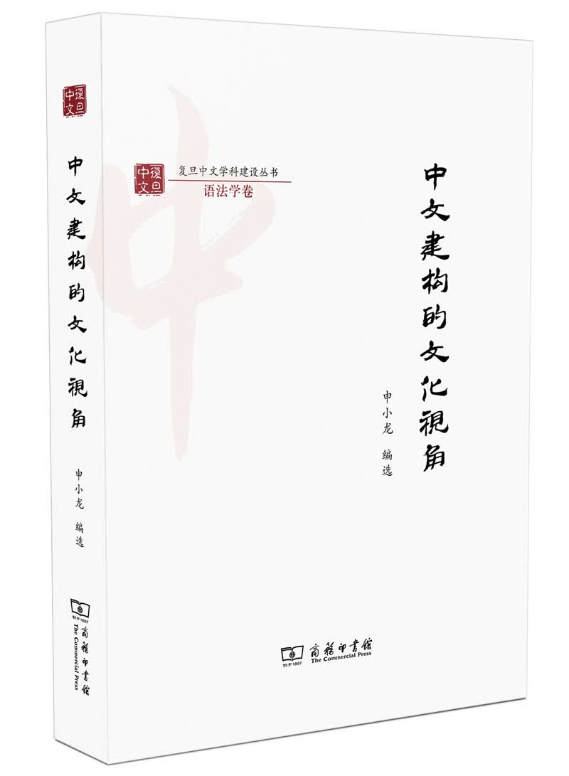 中文建构的文化视角/复旦中文学科建设丛书