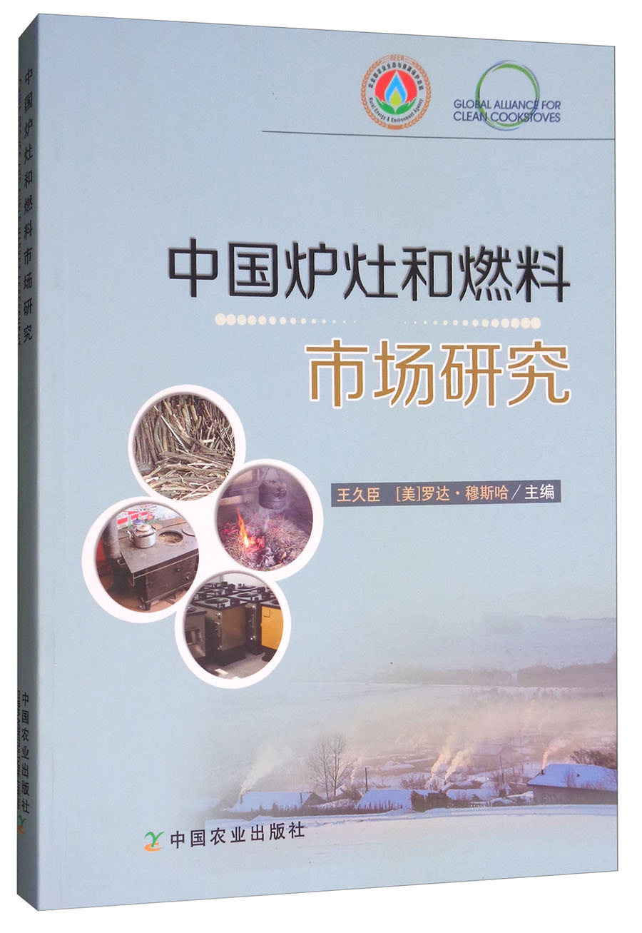 中国炉灶和燃料市场研究