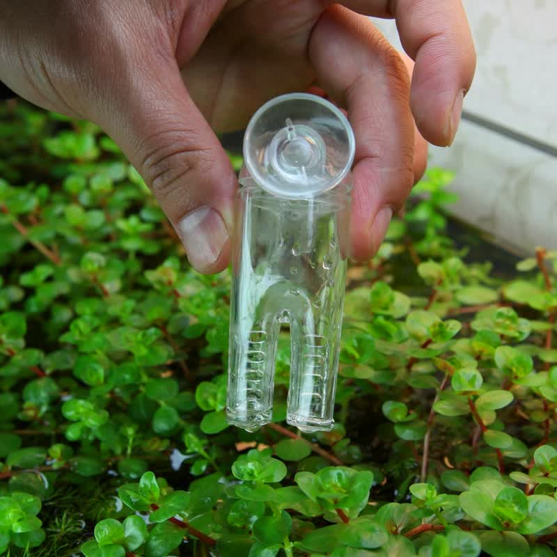 趣乐多亚克力裤子造型喂食器 红虫丝蚯蚓喂食器  红虫杯 裤形喂食器
