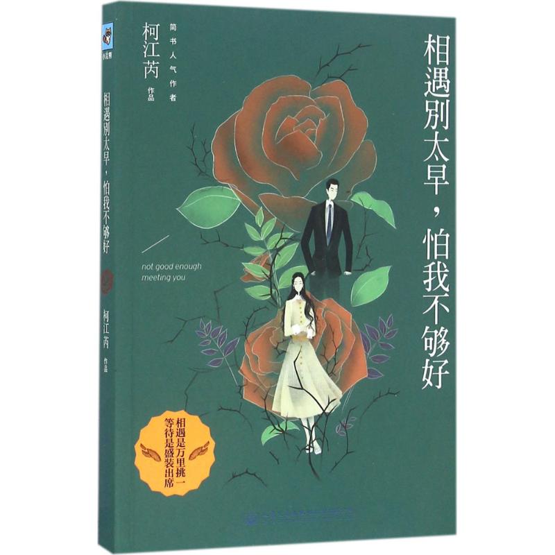 相遇别太早,怕我不够好