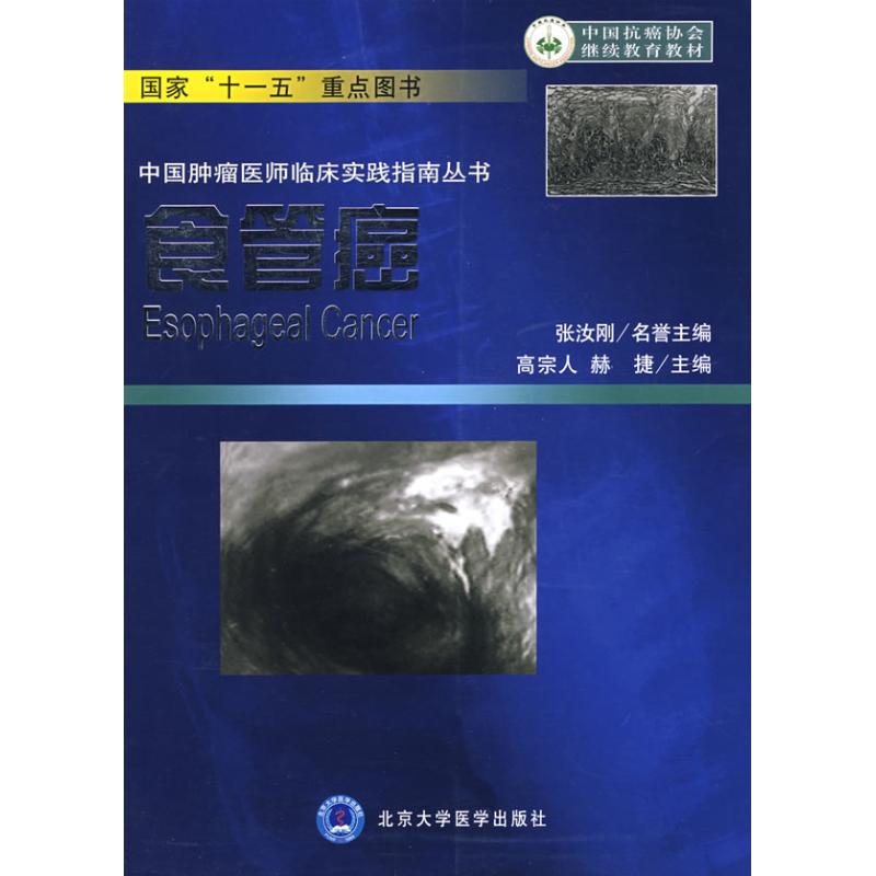 食管癌/中国肿瘤医师临床实践指南丛书
