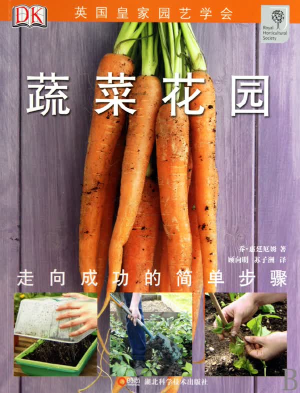 蔬菜花园