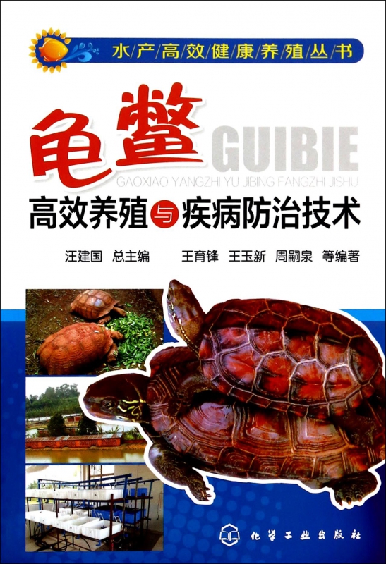 龟鳖高效养殖与疾病防治技术/水产高效健康养殖丛书
