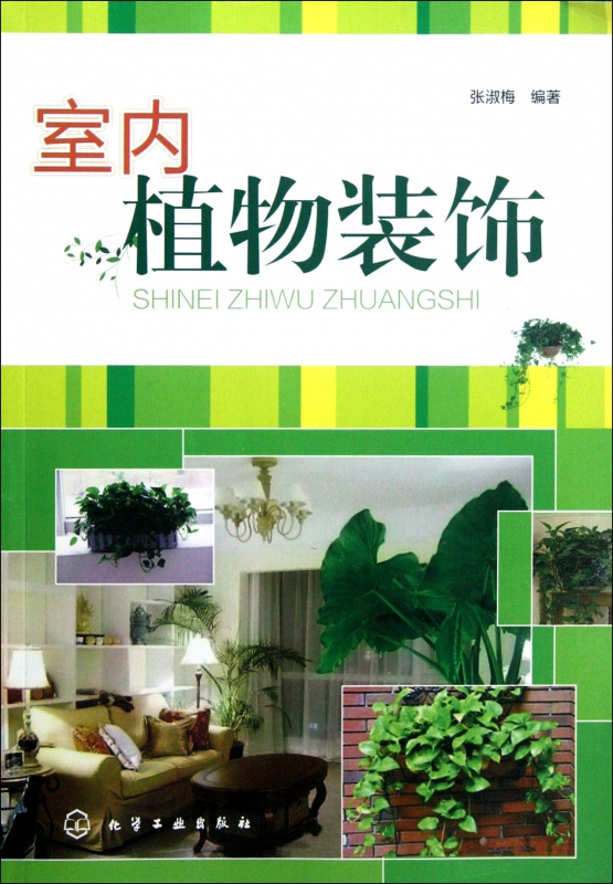 室内植物装饰