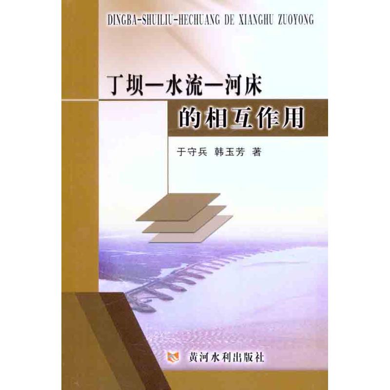 丁坝—水流—河床的相互作用