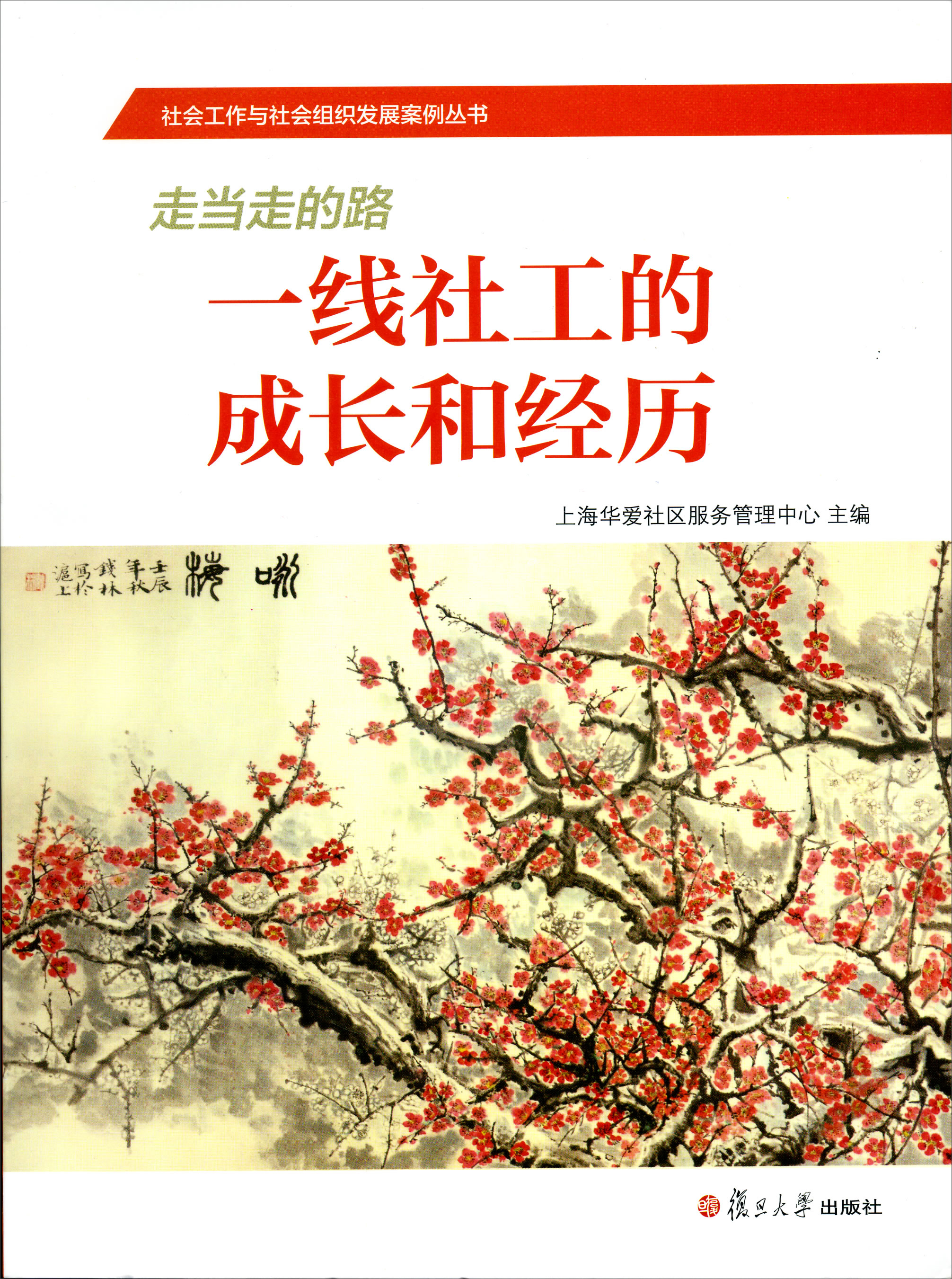 社会工作与社会组织发展案例丛书：一线社工的成长和经历